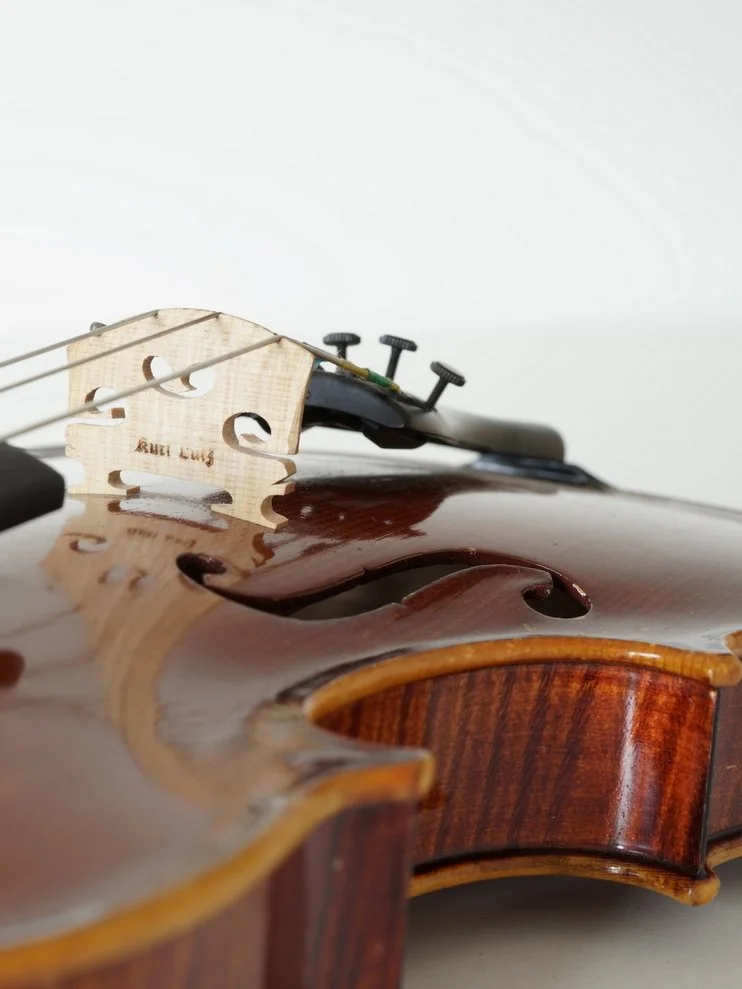 viool kurt Lutz_kam.JPG