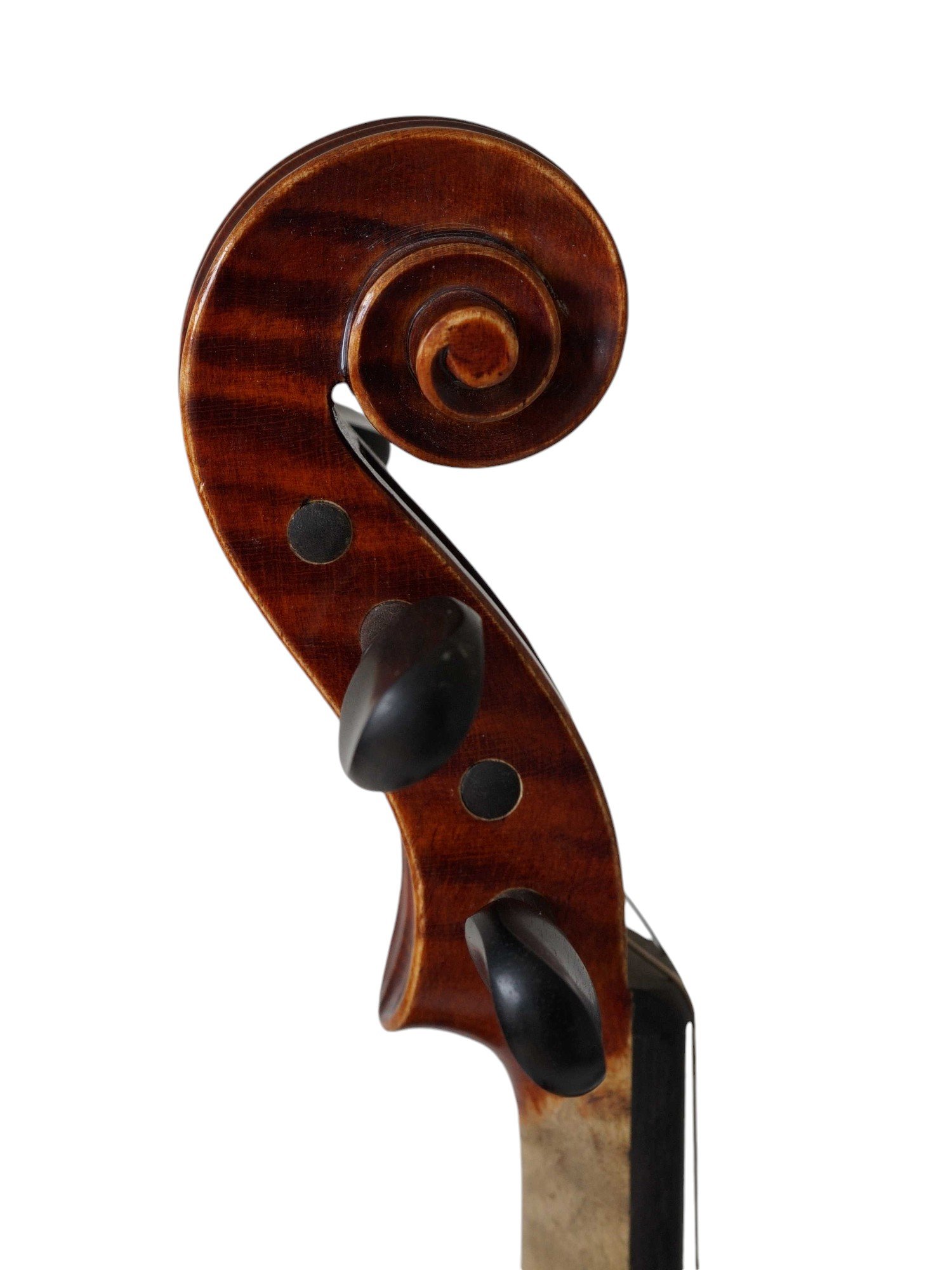 Modern Bohemian 3/4 Violin