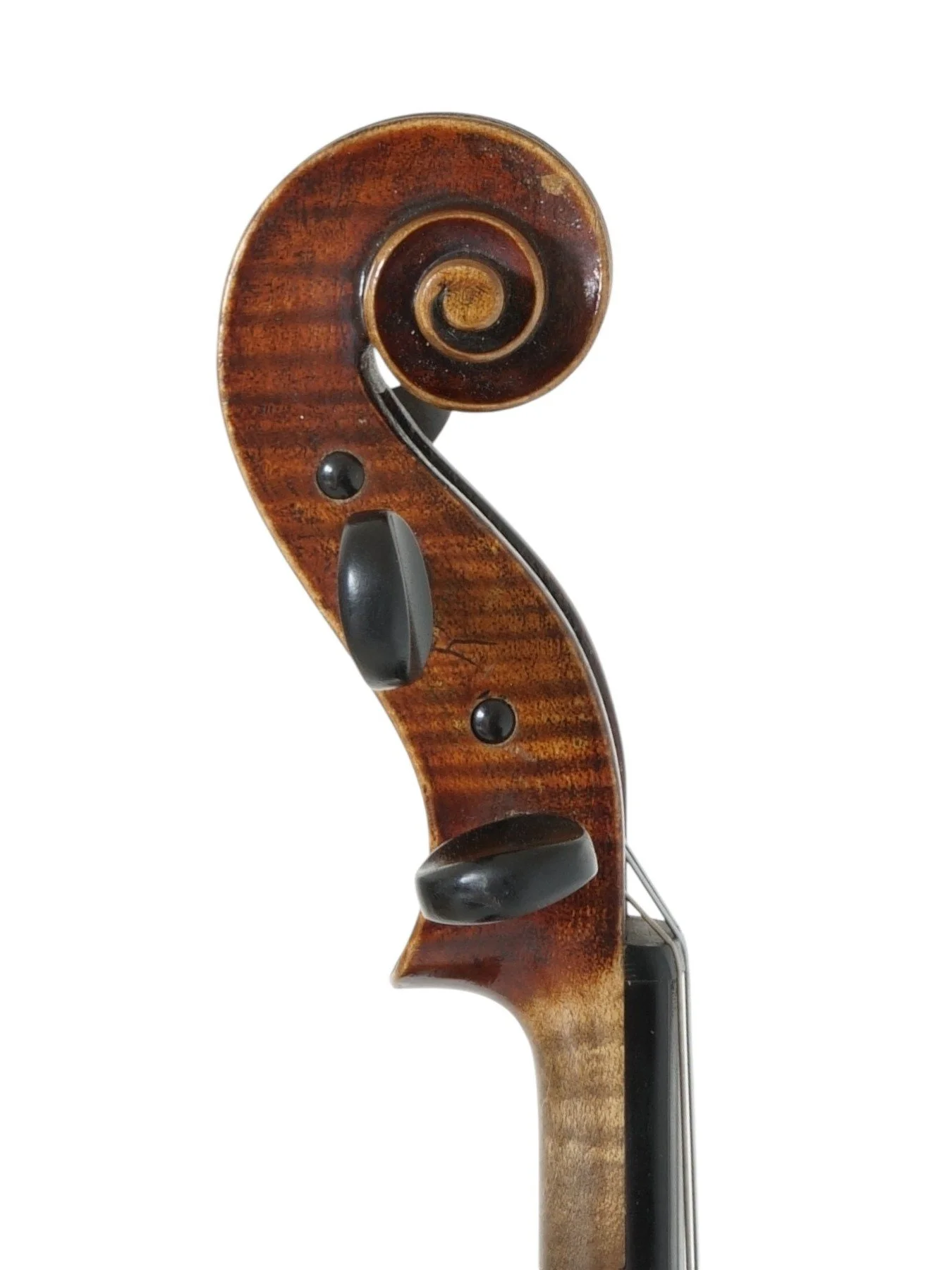 Saksische viool begin 1900_4.jpg