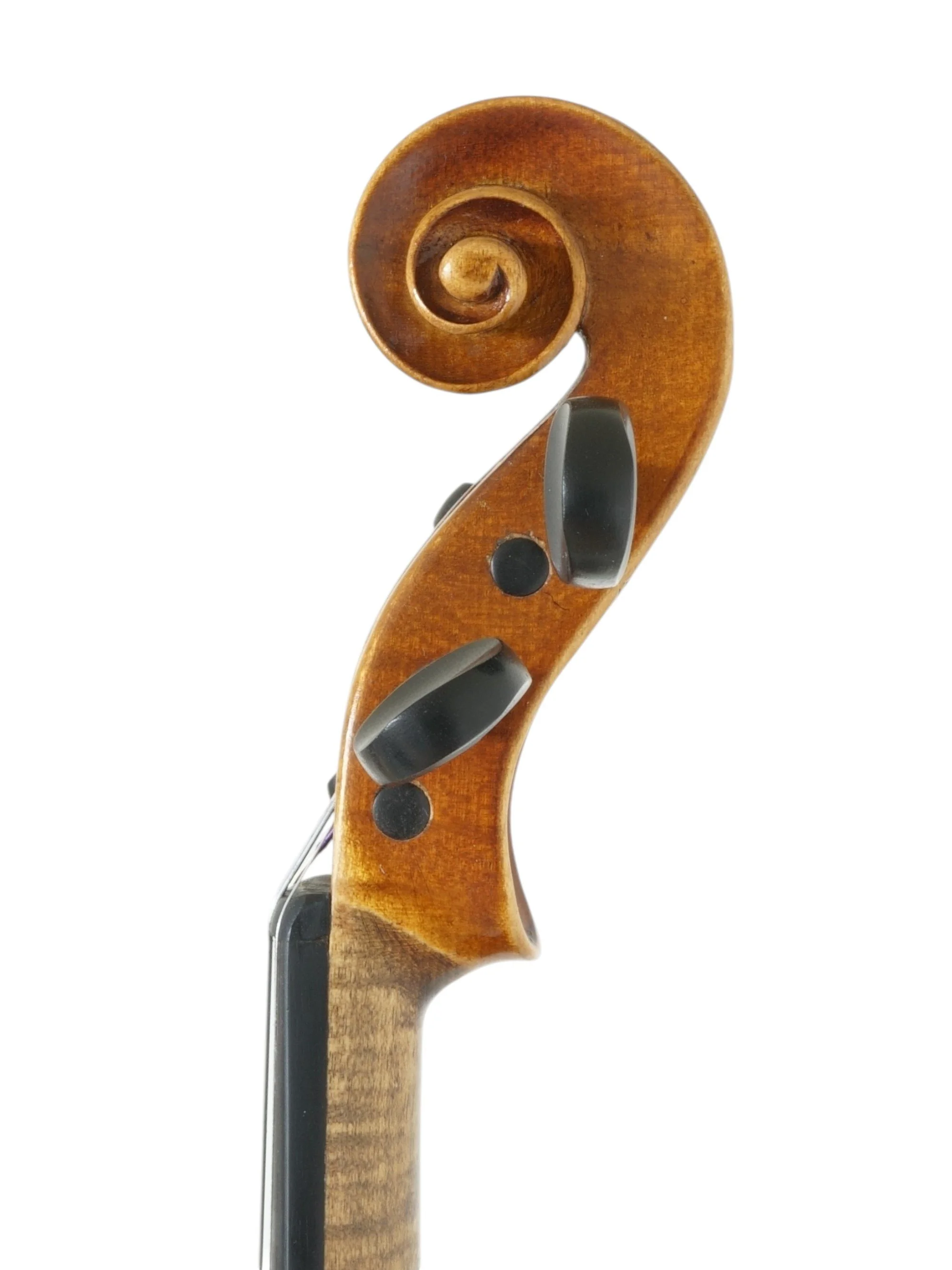 Viool Schuster en Co_6.jpg