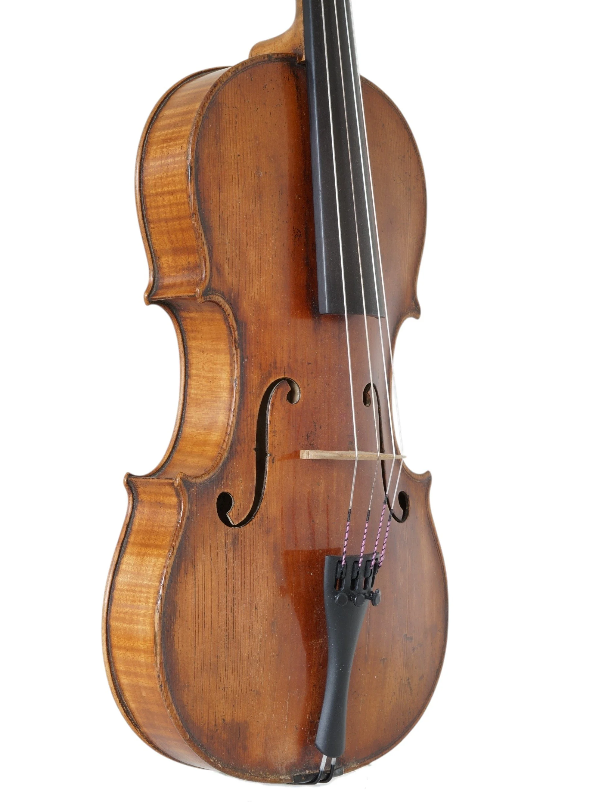 Boheemse altviool_7.jpg