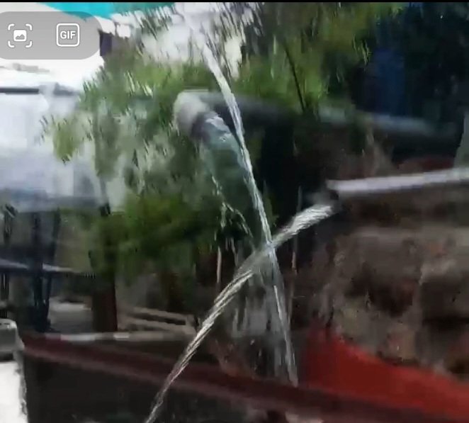 Rainwater harvesting recharging underground aquifiers and growing food in an Urban Farm home in Delhi