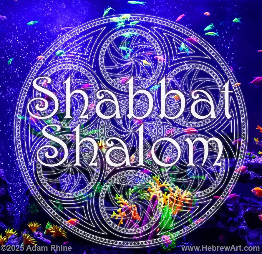 Shabbat Shalom - Coral Reef