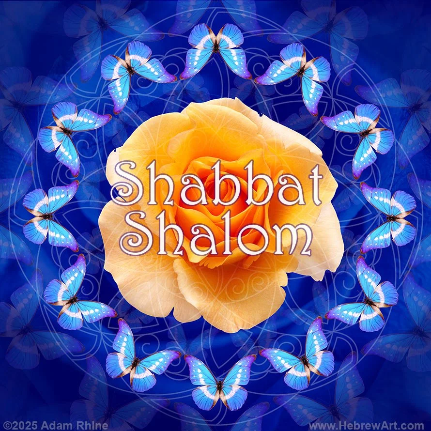 Shabbat Shalom - Butter Roses