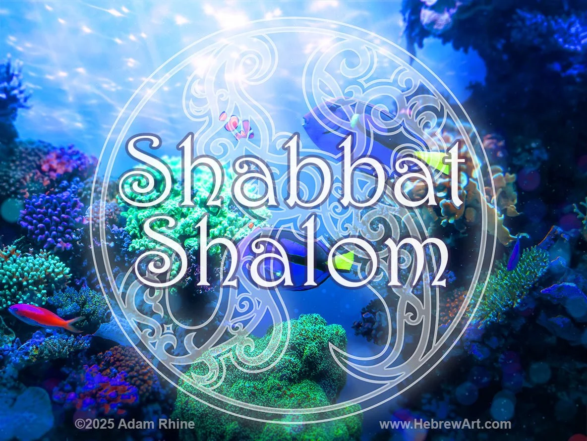 Shabbat Shalom - Coral Reef II