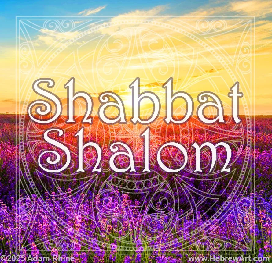 Shabbat Shalom - Poppy Field