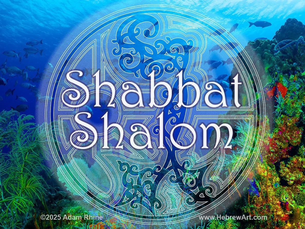 Shabbat Shalom - Coral Reef IV