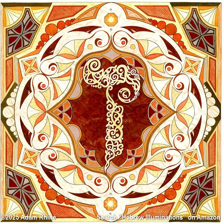 Illumination Theory - Zayin in Color