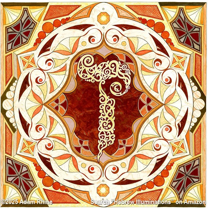 Illumination Theory - Zayin in Color