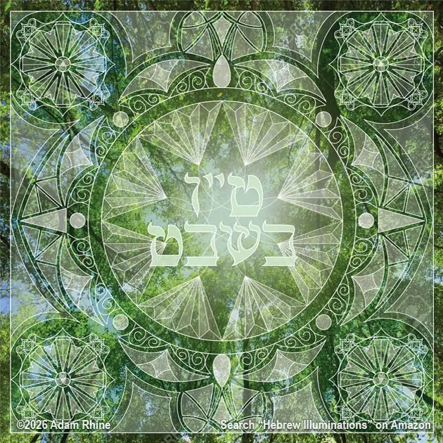 Tu B'Shevat - The New Year for Trees