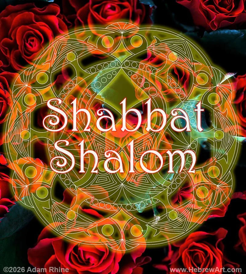 Shabbat Shalom - Golden Red Rose