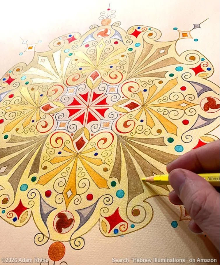 Let the sun shine in!