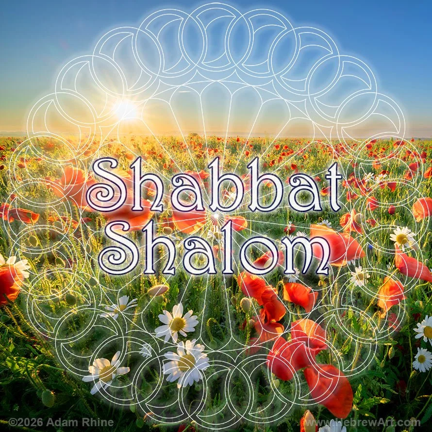 Shabbat Shalom - Let Beauty Prevail in a World that is Much too Dark