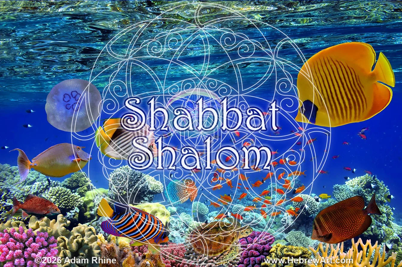 Shabbat Shalom - Aquarium Relaxation