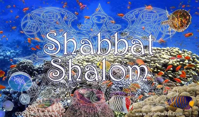 Shabbat Shalom - Coral Coral