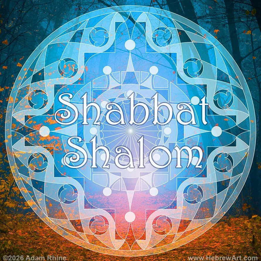 Shabbat Shalom - Midnight Forest