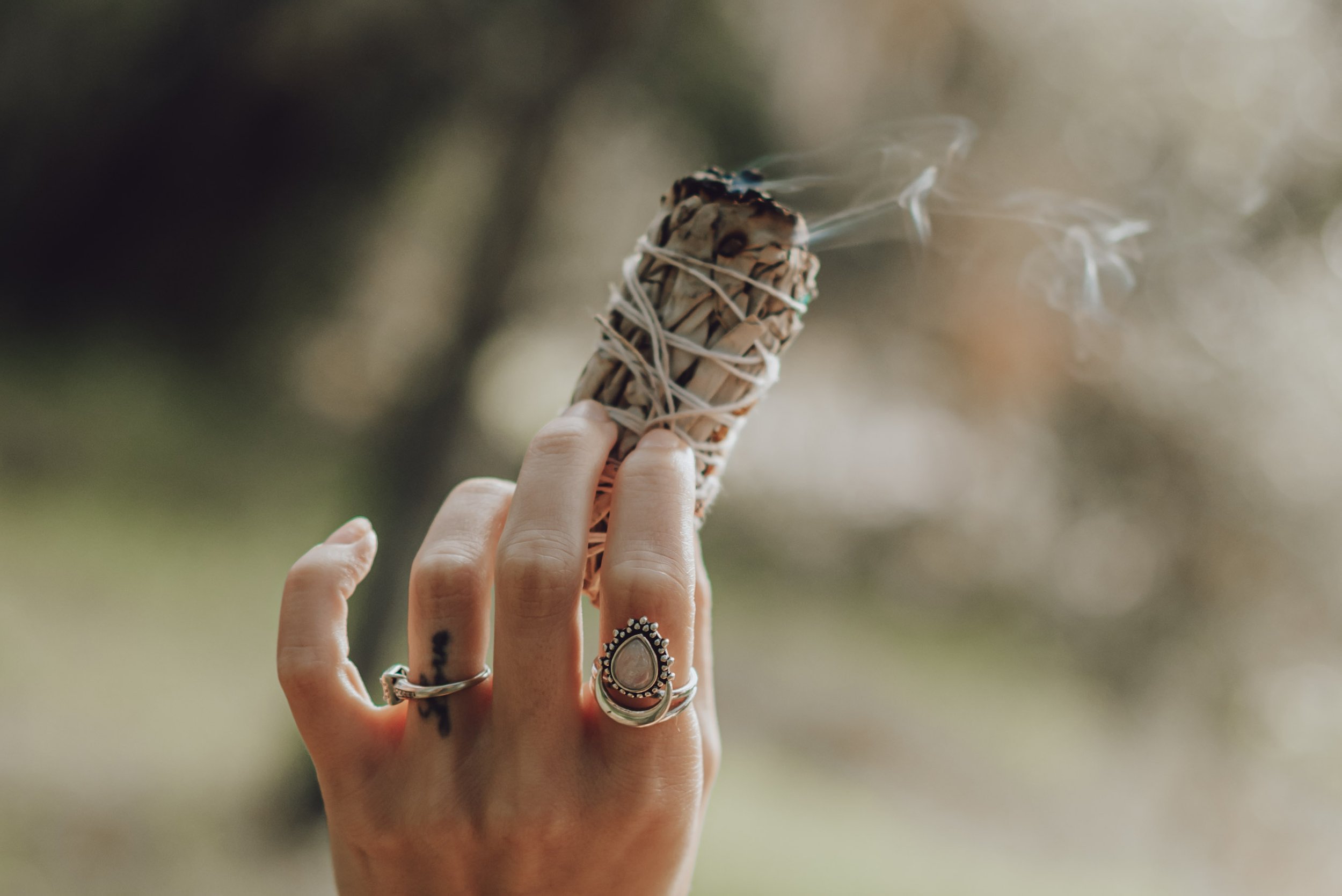 Sage Bundle