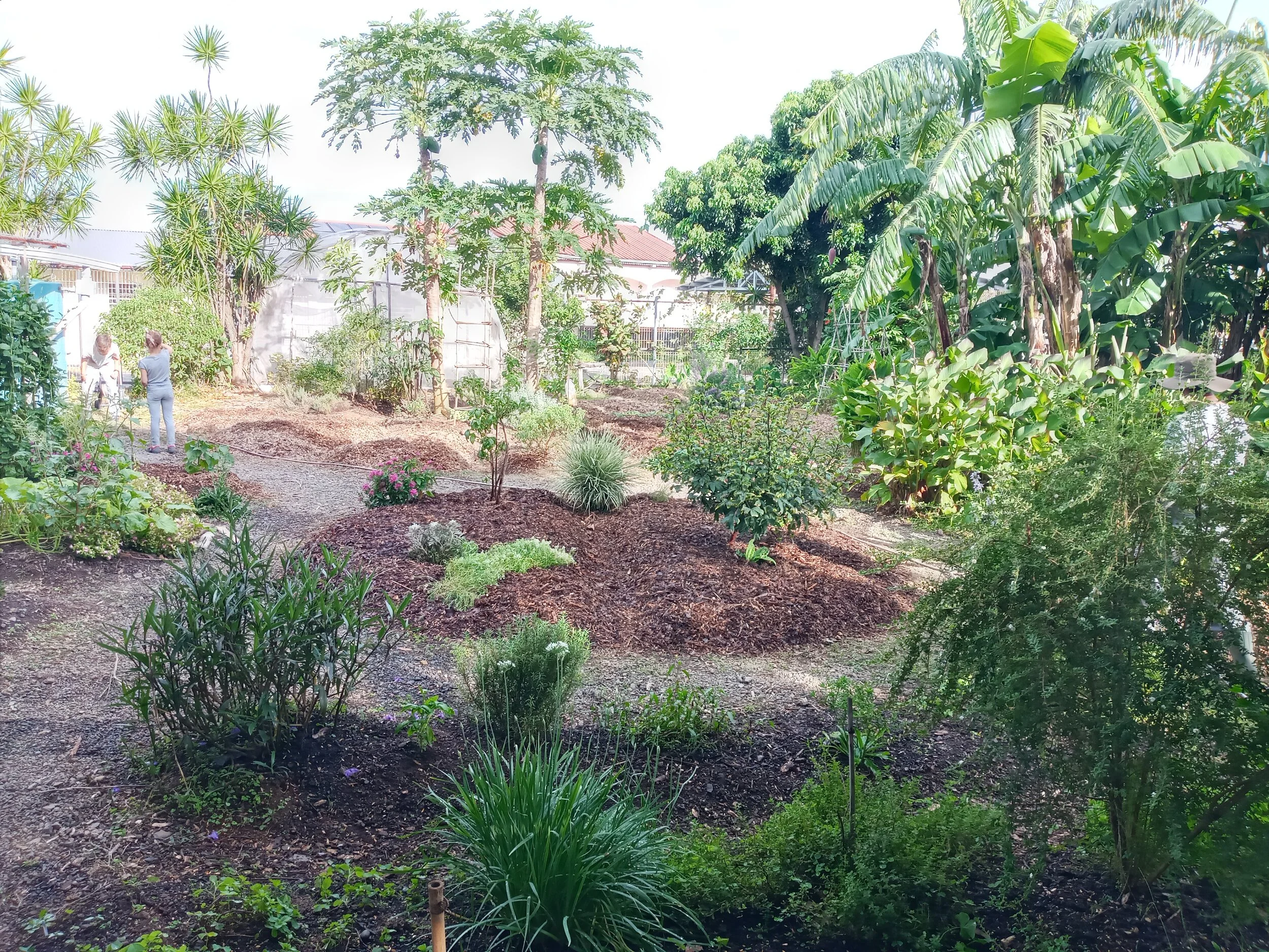 20200222_165348.jpg