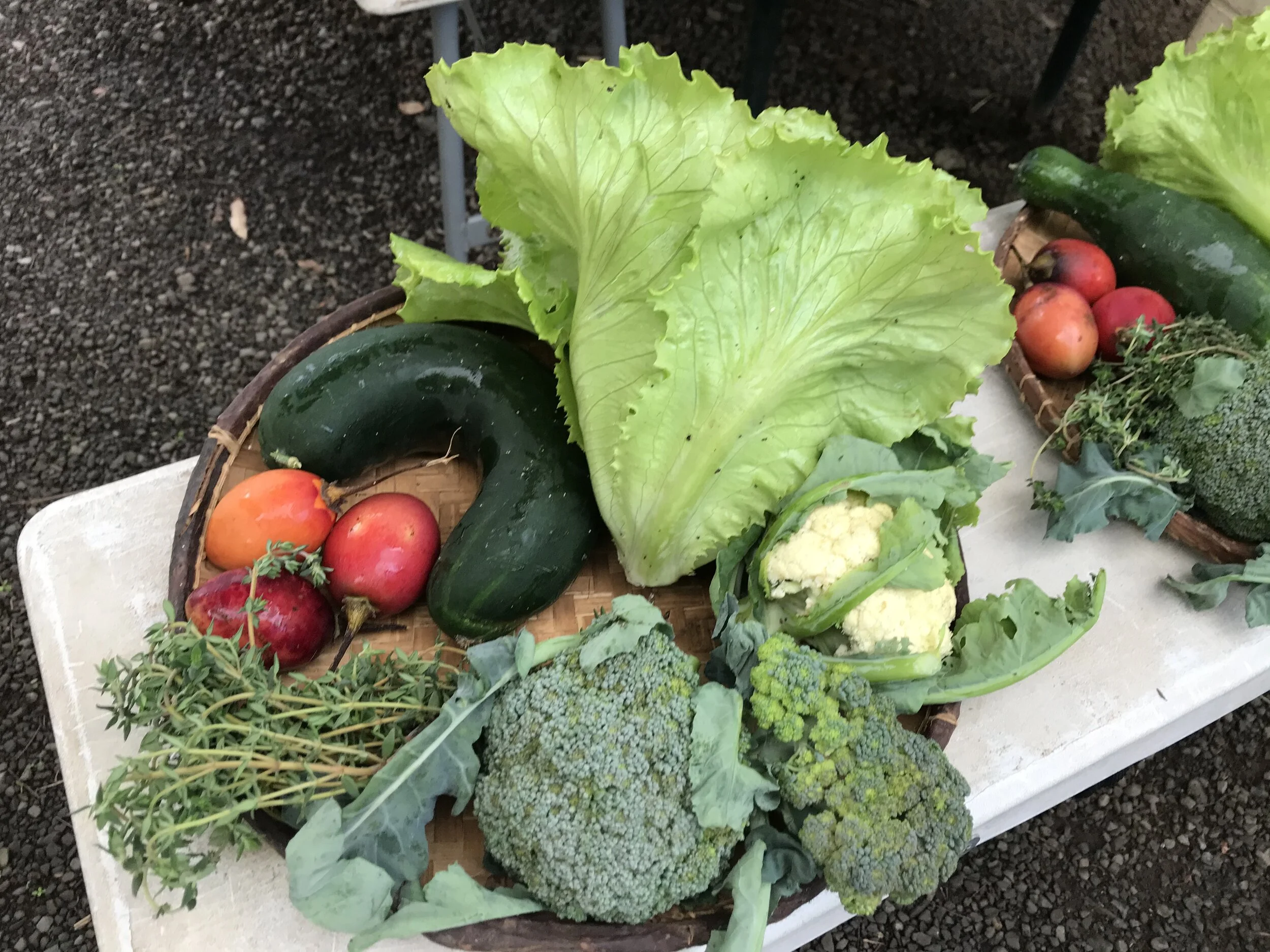 composition soubik semaine 45 