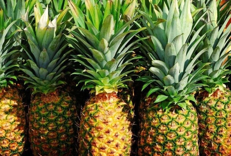 L'ananas