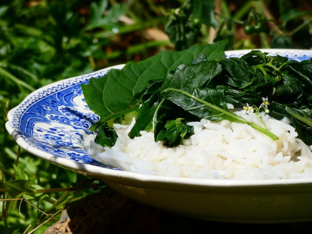 Fricassée de brèdes morelle aux pistaches péï