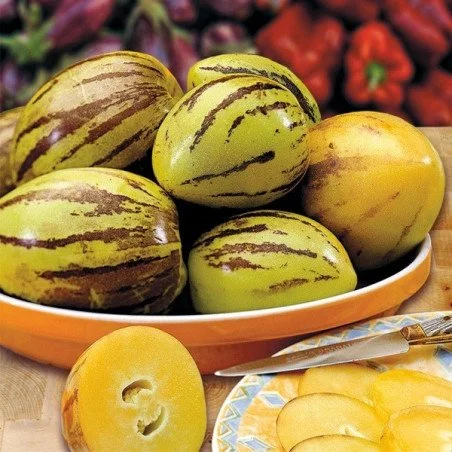 Des recettes variées du Pépino