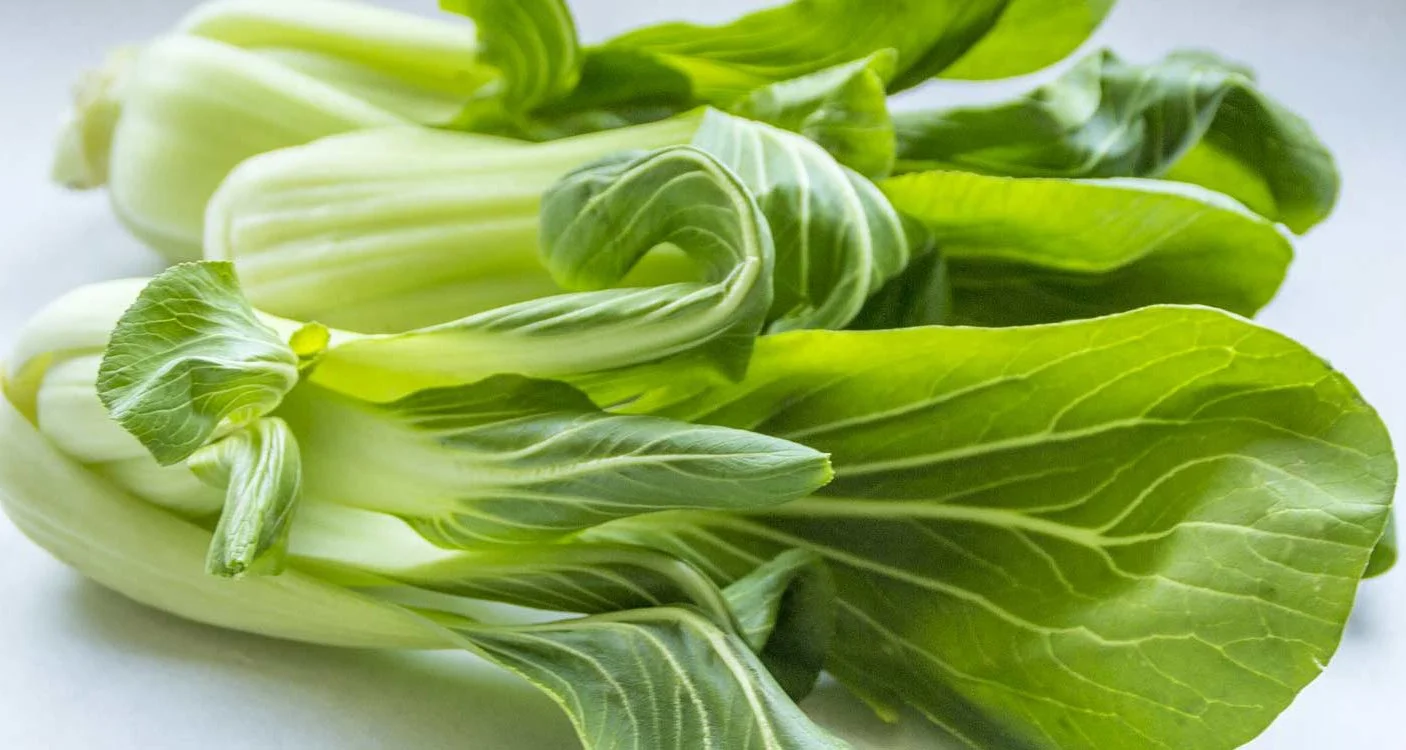 Le brède chou de chine