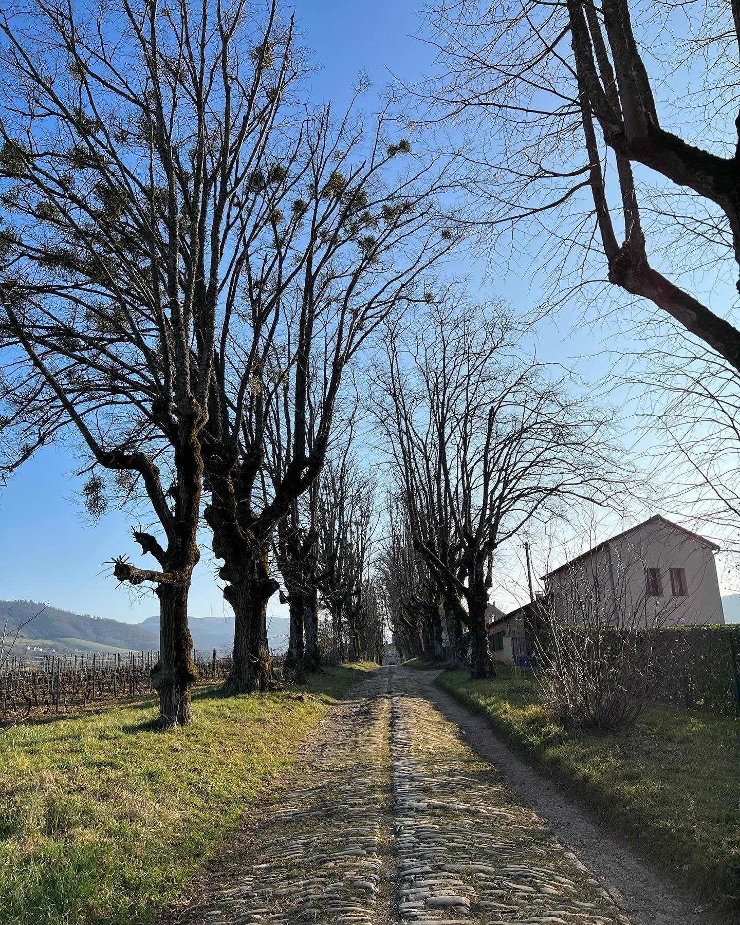 A deeply restorative weekend wandering through vineyards and castles with @jessejmorgan. 

There&rsquo;s nothing better than going into the week with a full tank. 

I hope you take some time to do something fun and replenishing for yourself today.