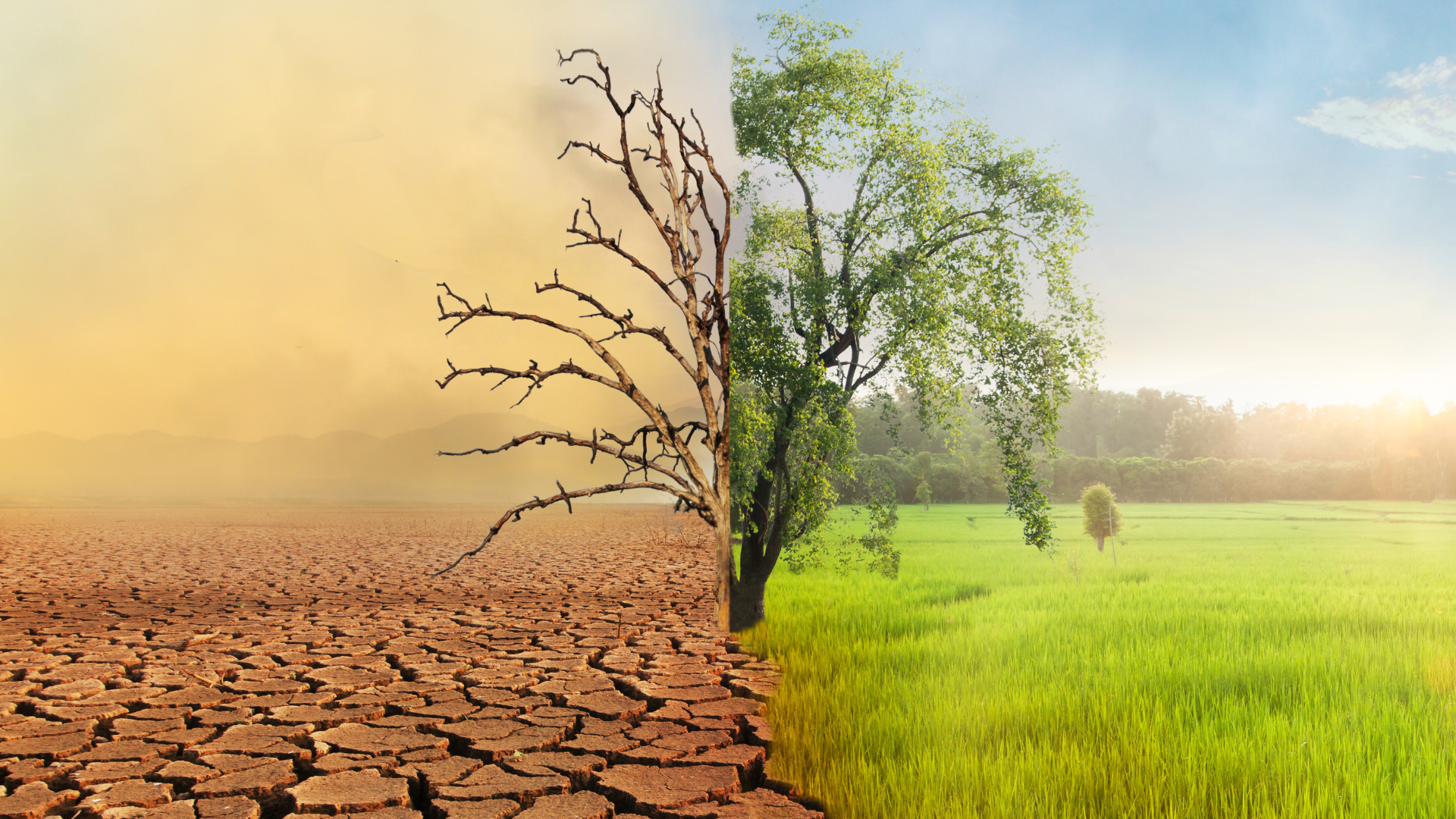 2024: Year of the climate flip-flop