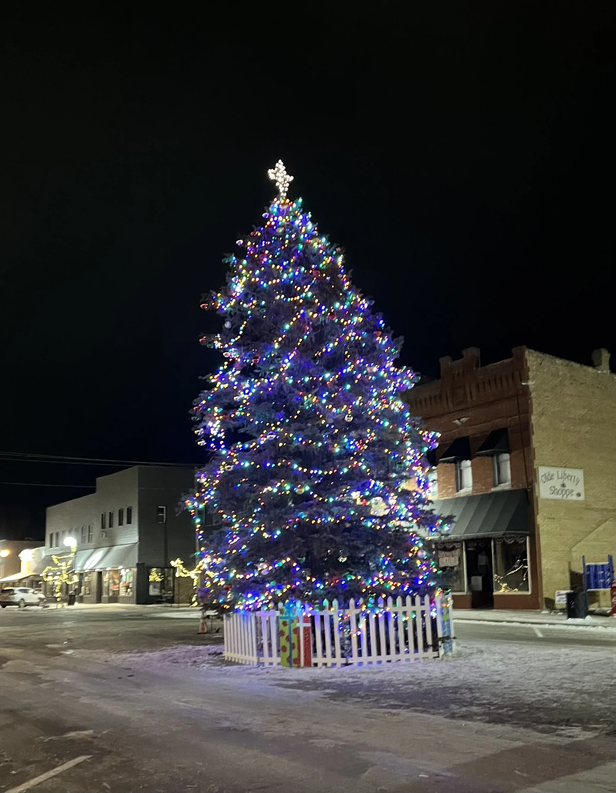 Christmas in Park Rapids