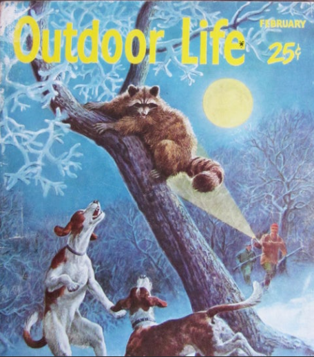 Bonnie and The Night Howls