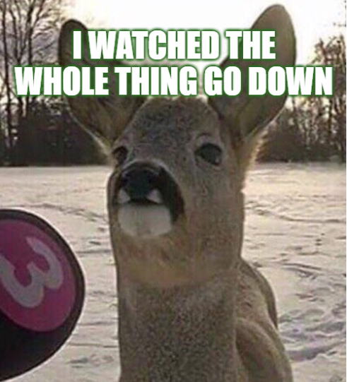 Disbelief in Headlights