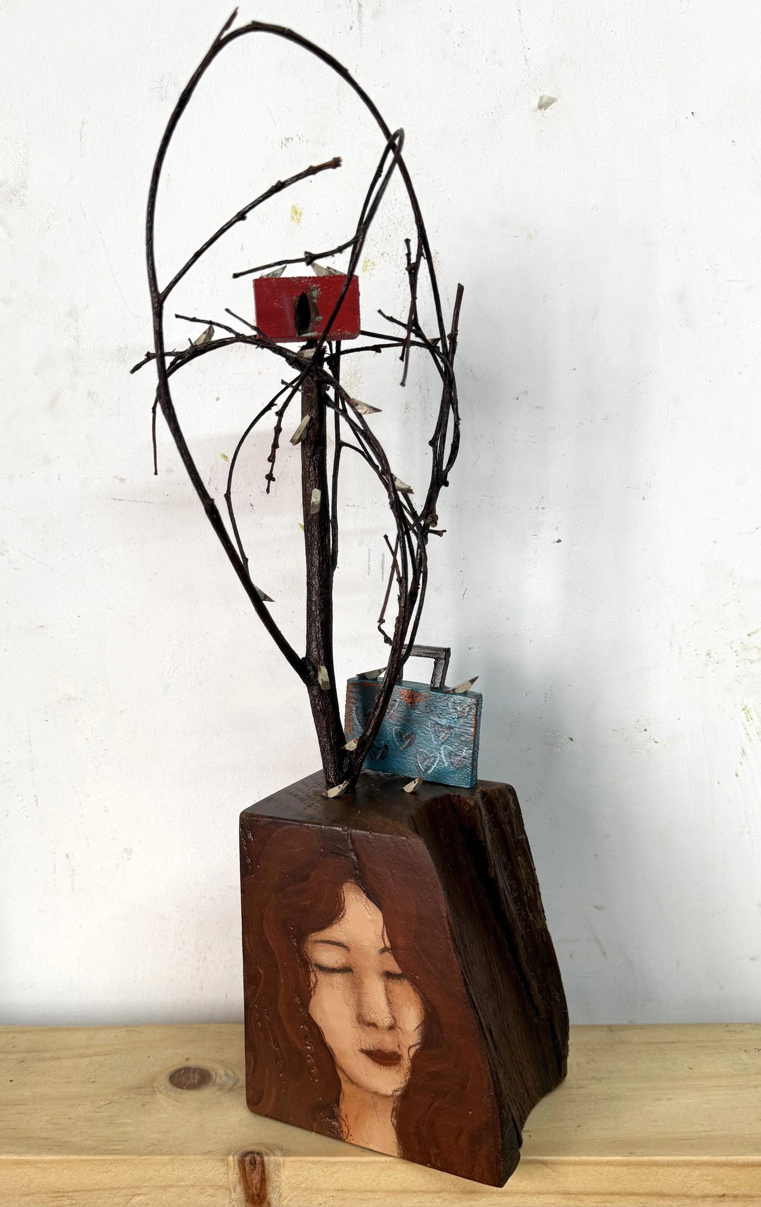 el nido de Silvia.jpg