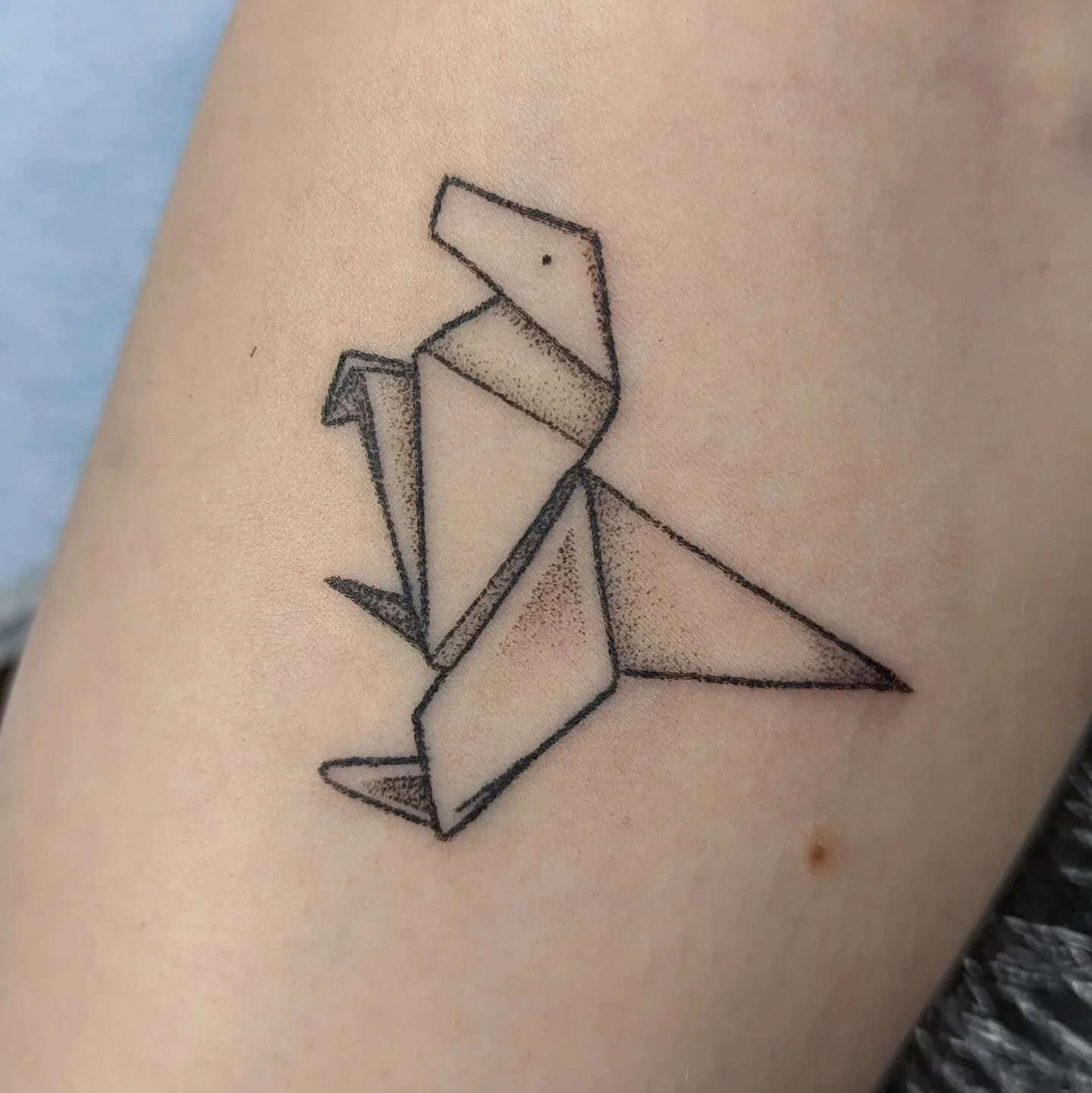 #handpoked origami dinosaur for jesi 🦖

#handpoke #handpokedtattoo #handpoketattoo #dotworkers #dotwork #dotworktattoo #sticknpoke #stickandpoke #trex #dinosaur #queerartist #queertattooer #queertattooartist #myrichmond #richmondky #lexingtonky #ken