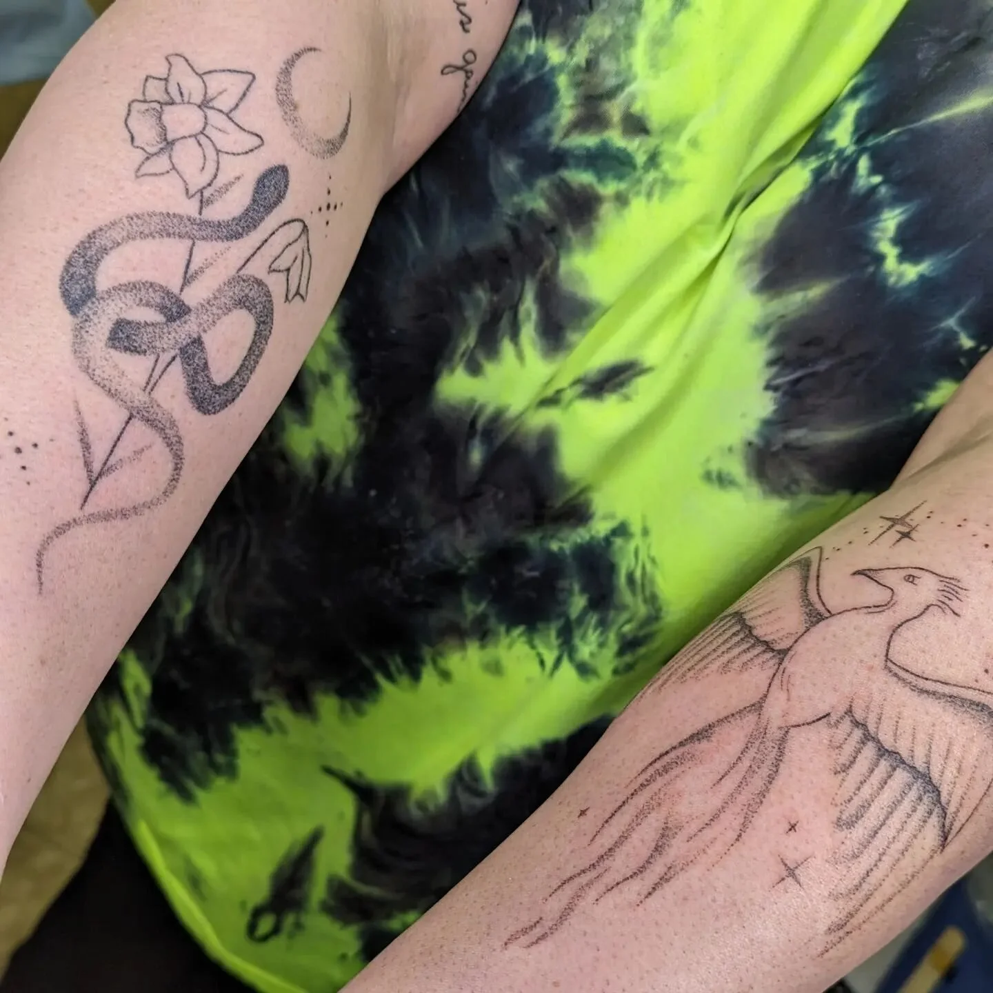 #handpoked snake &amp; phoenix combo for megan 🐍🐤 snake healed here, phoenix fresh 😎

#handpoke #handpokedtattoo #handpoketattoo #dotworkers #dotwork #dotworktattoo #sticknpoke #stickandpoke #tattoo #queerartist #queertattooer #queertattooartist #