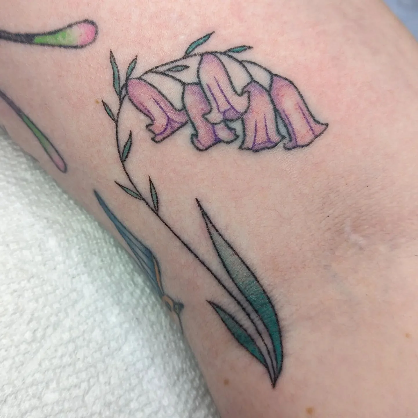 #handpoked spicy elbow pit bell flowers for em 🥰🥀

#handpoke #handpokedtattoo #handpokeartist #stickandpoke #sticknpoketattoo #sticknpoke #spring #garden #gardening #queerartist #queertattooer #queertattooartist #lexingtonky #richmondky #kentuckyta