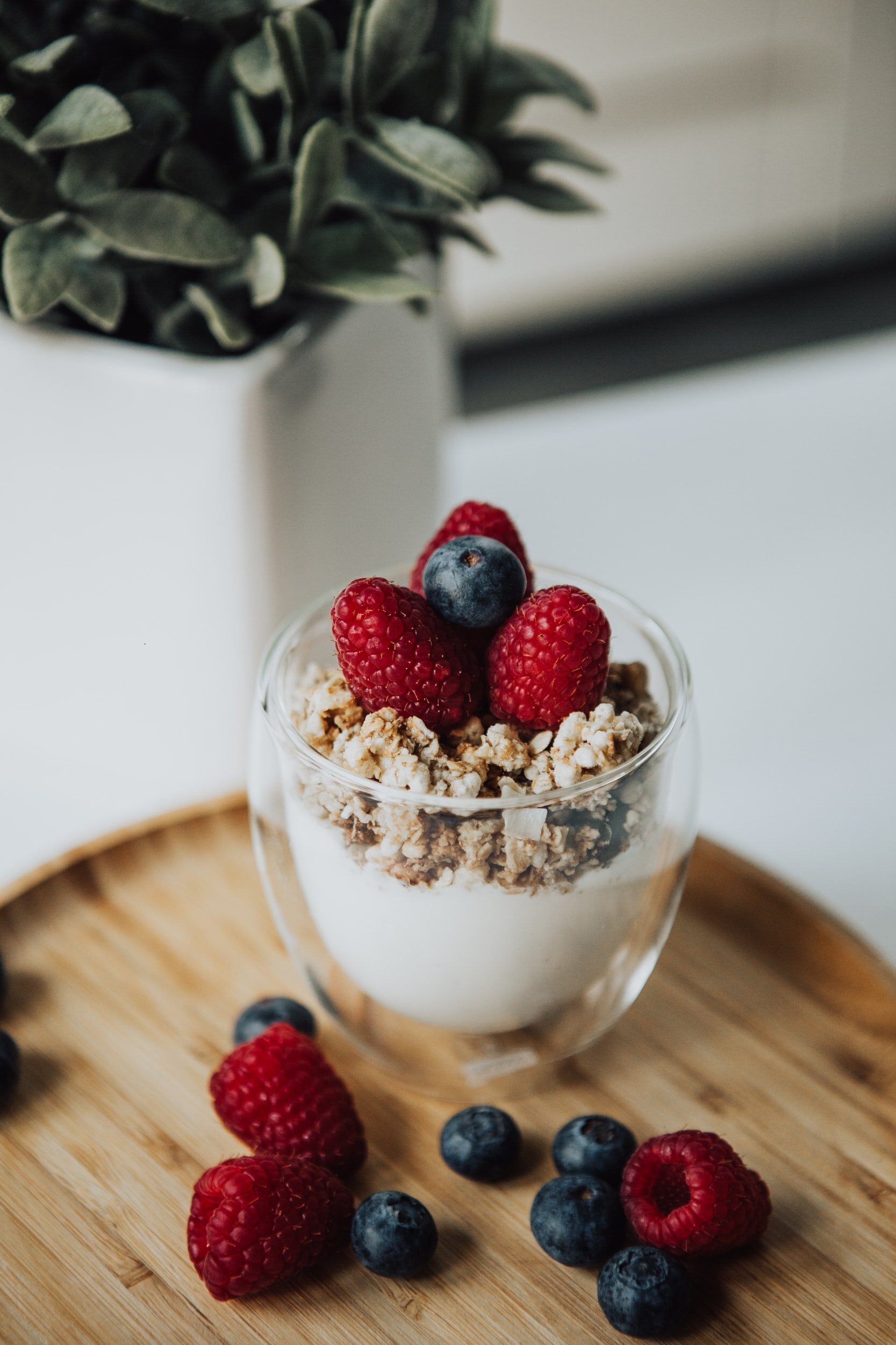 Why Should You Choose Greek Yogurt?