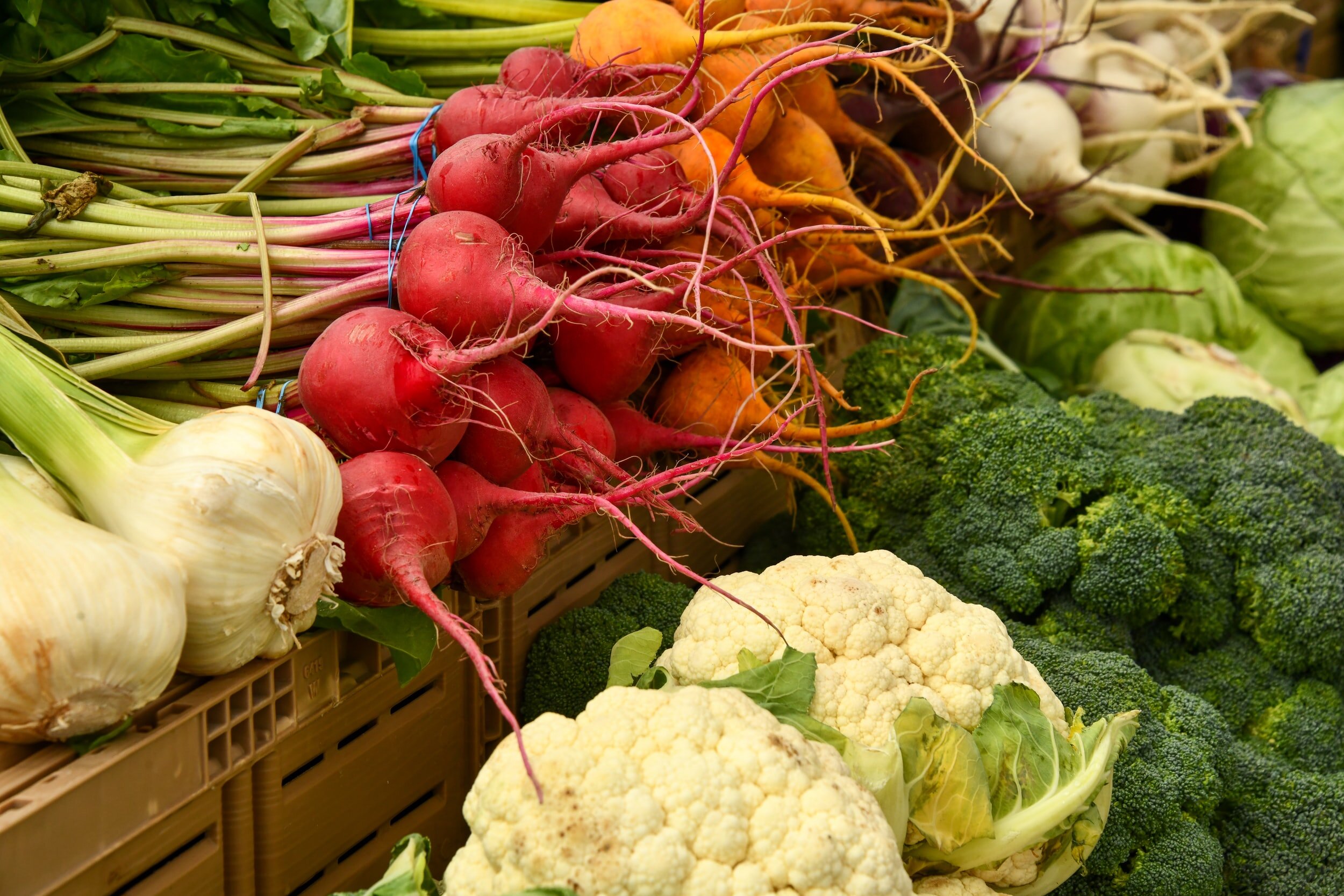 Great Winter Foods