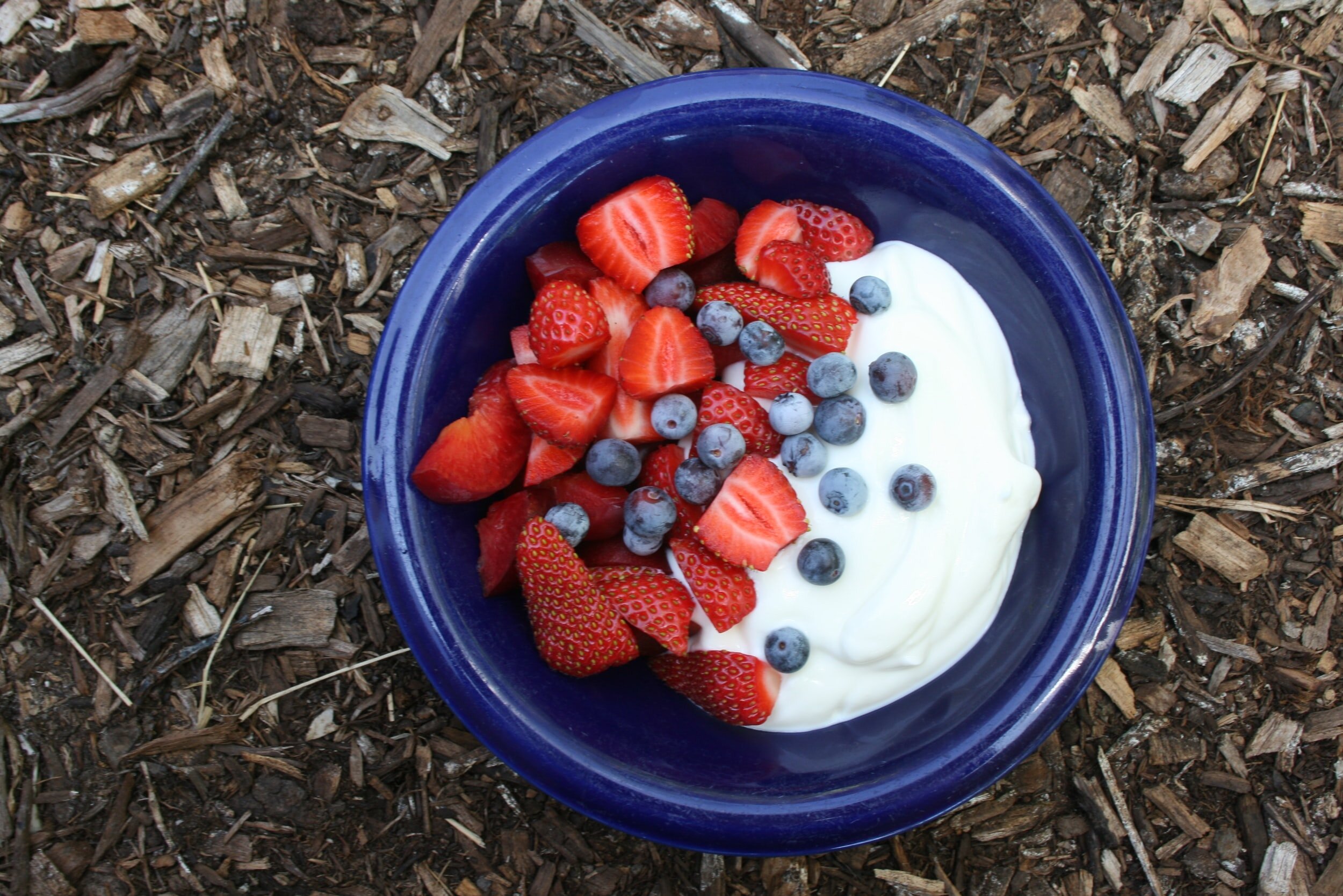 Summer Recipes with Blue Berries 