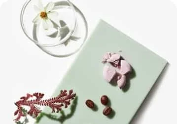 A glass of water with floating flower, a pink teddy bear figurine, three coffee beans, and a sprig of red dried fern on a light green surface