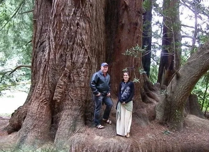 Dad+%26+I+at+Roy%27s+Redwoods.jpg