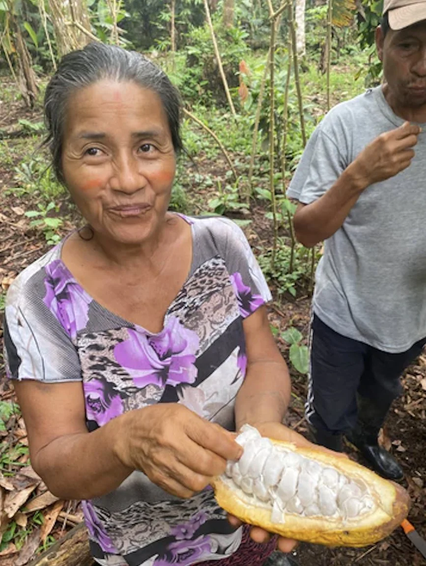 NEW AFFILIATE PARTNER AWAKE HEALER ??? THE STRONG FOUNDATION