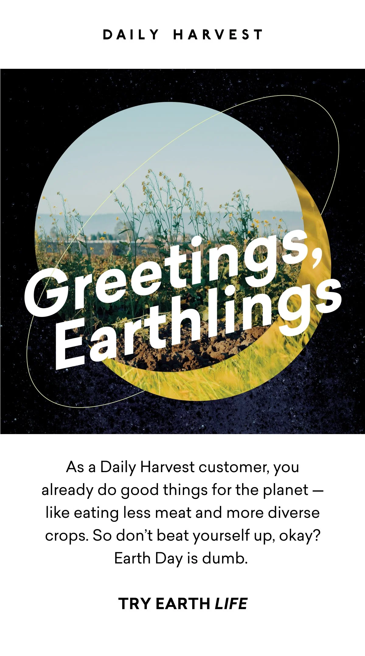 Launch Email (46).jpg