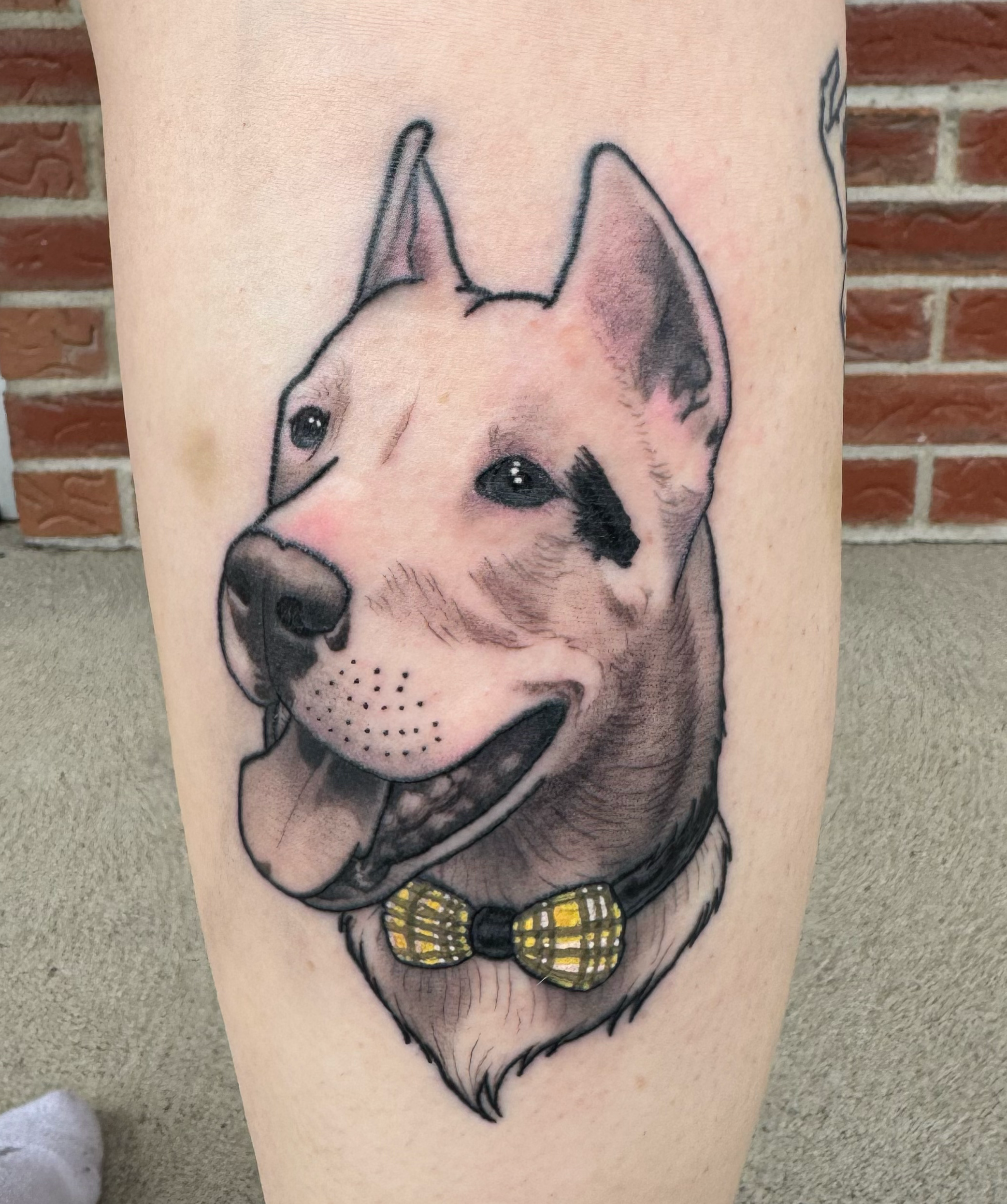 Dog.png