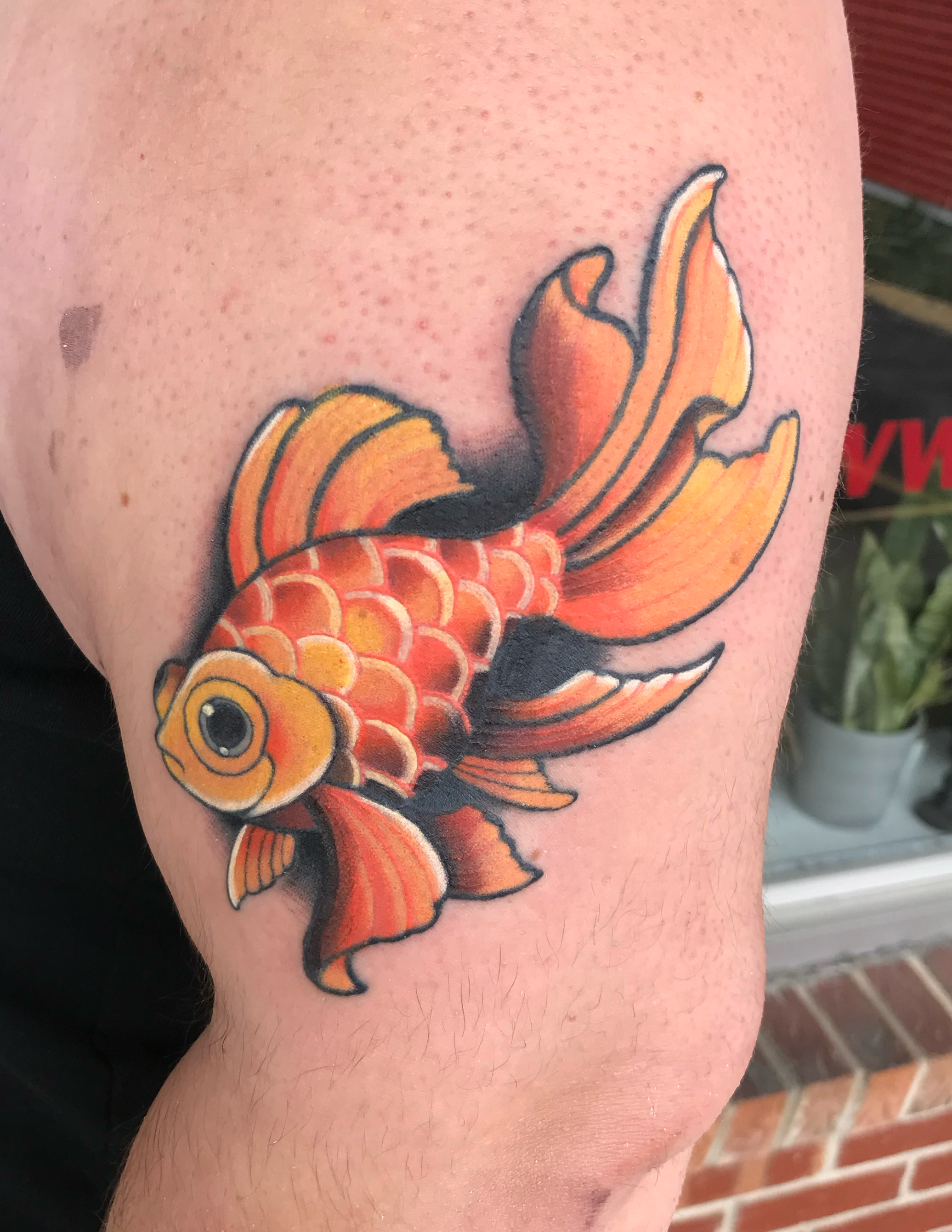 Fish.png