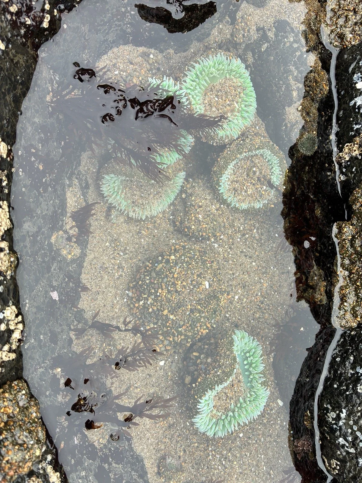 Repatterning thru relationship