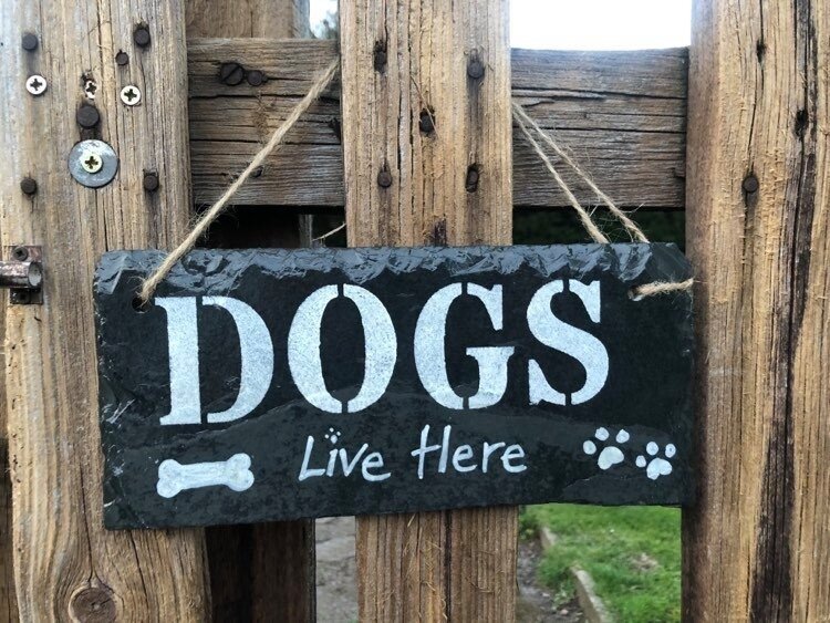 A black sign hanging from a wooden fence that says "DOGS Live Here" with a bone icon and paw prints.