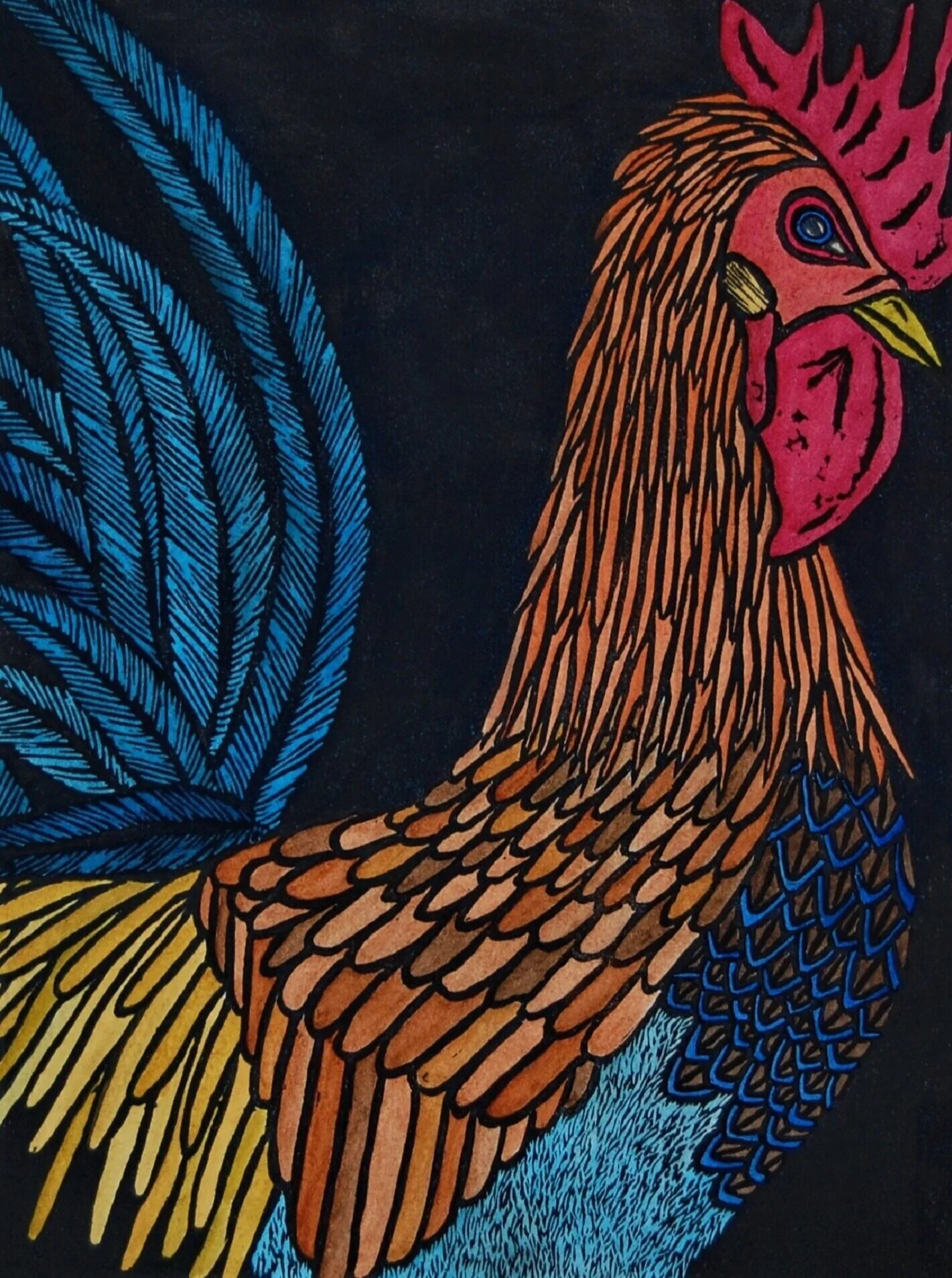 Cocky.jpg