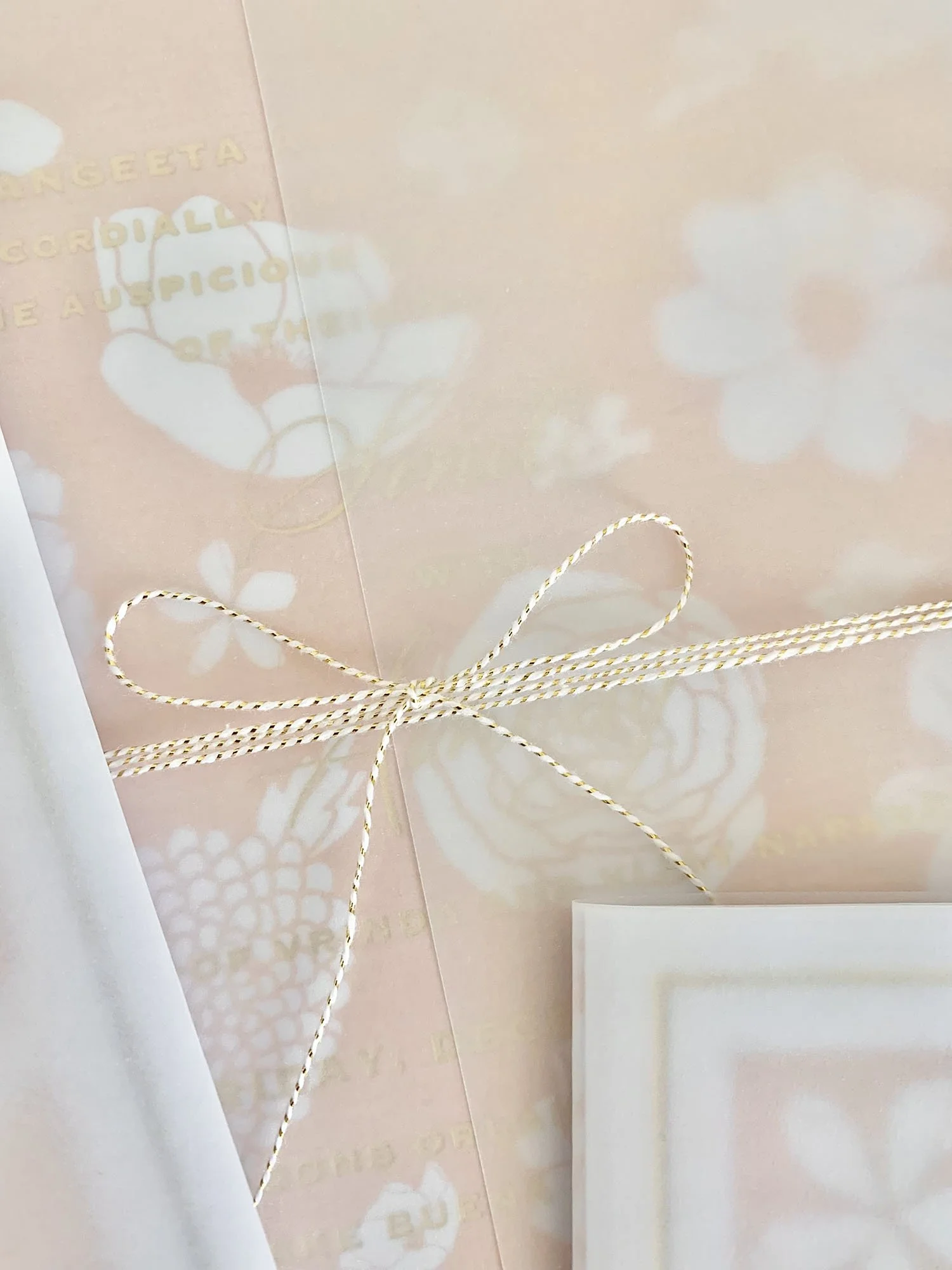 WaldorfAstoriaOrlando_FourSeasonsOrlando_SmitiAmeay_IndianWeddingInvitatation_10.jpg