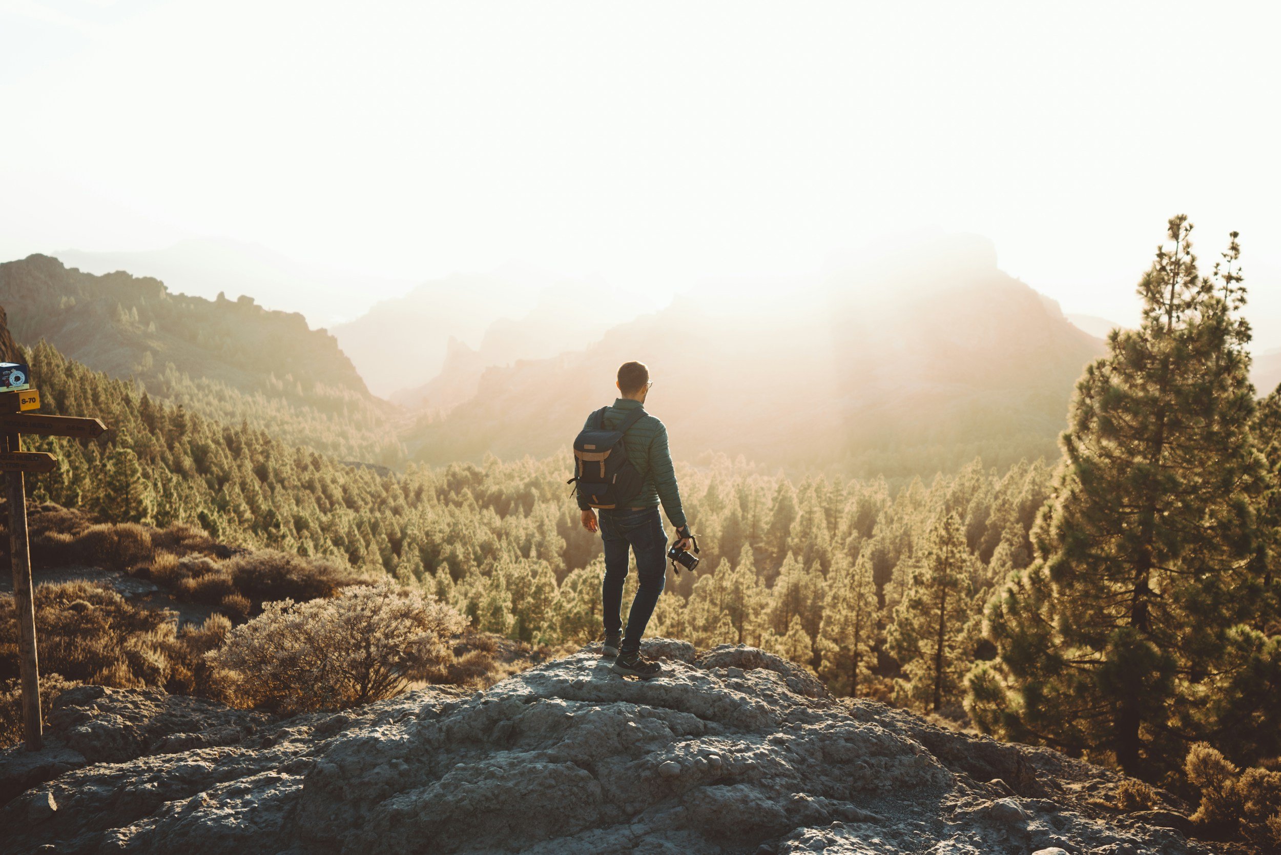 benjamin reese on discipline